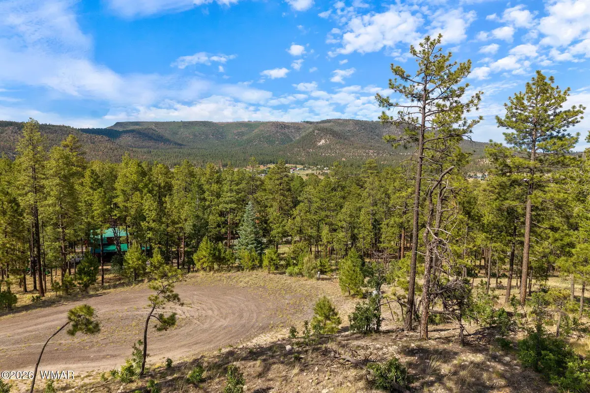 000 Cr 2193, Alpine, AZ 85920 - #1
