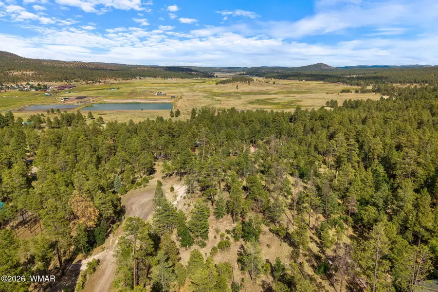000 Cr 2193, Alpine, AZ 85920 - #2