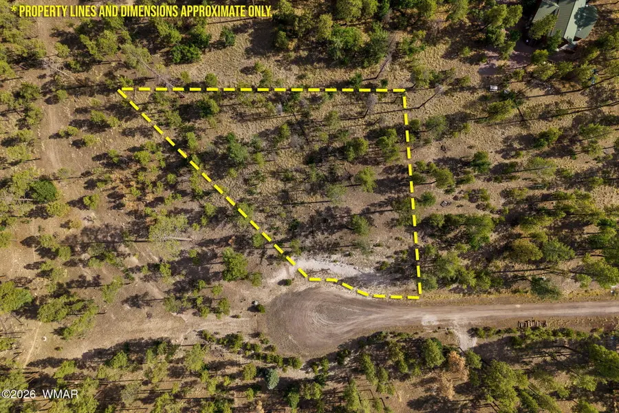 000 Cr 2193, Alpine, AZ 85920 - #3