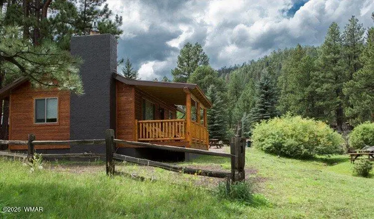 Cabin 89 Rohrer Road, Greer, AZ 85927 - #3