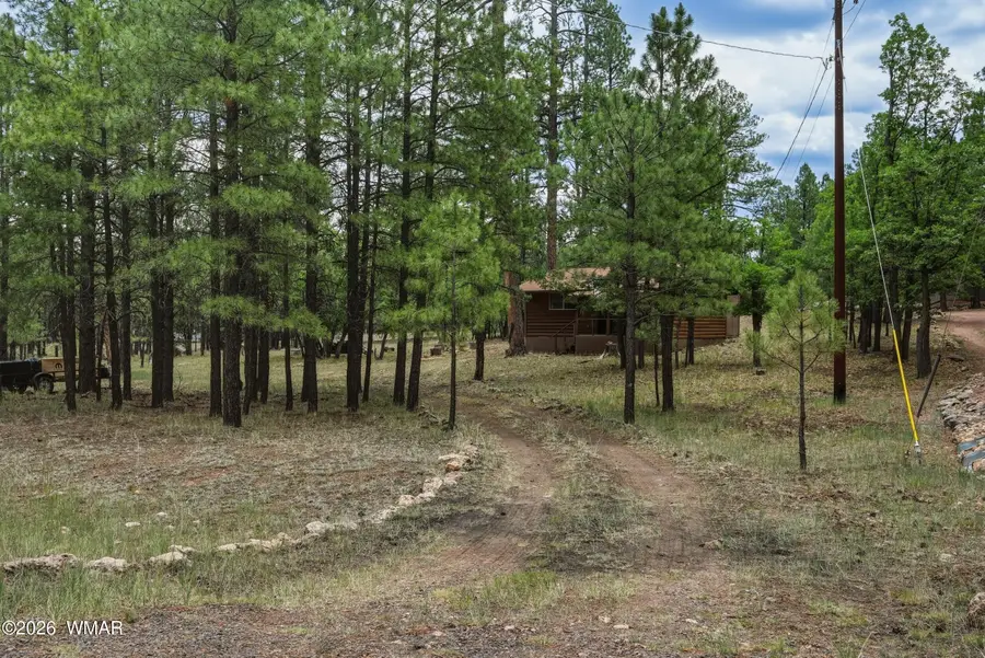 2100 Antelope Way, Happy Jack, AZ 86024 - #2