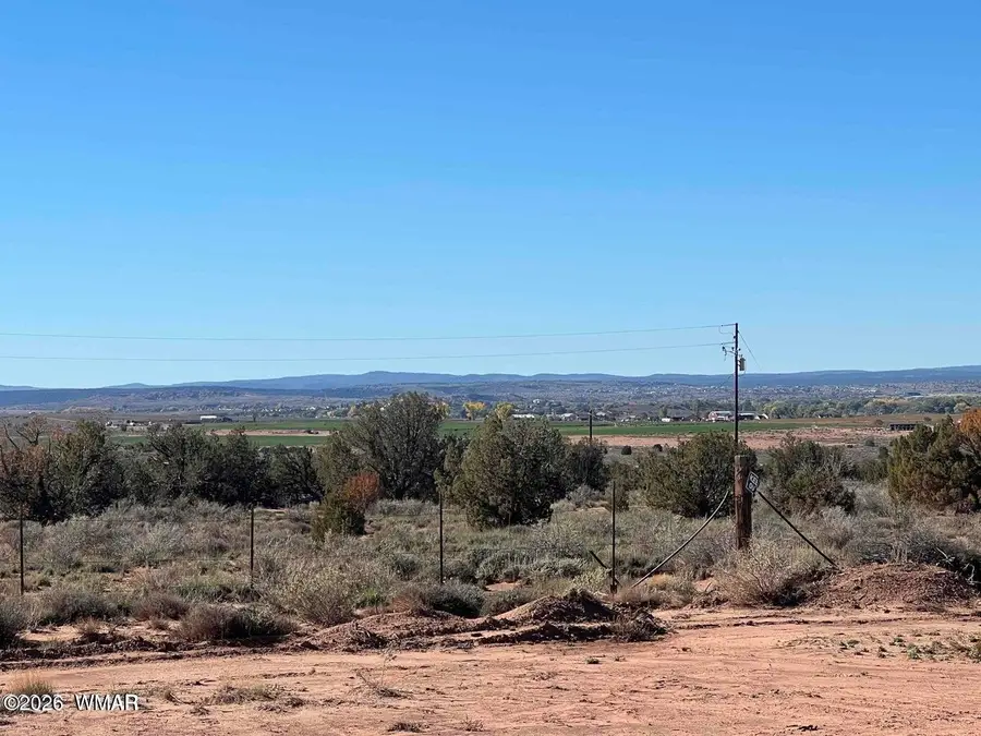 1795 E Mountain View Drive, Snowflake, AZ 85937 - #2