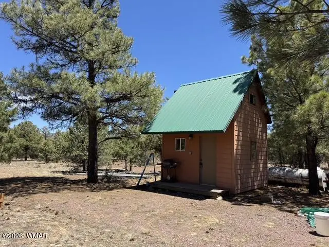 23 County Road N2163, Nutrioso, AZ 85932 - #1
