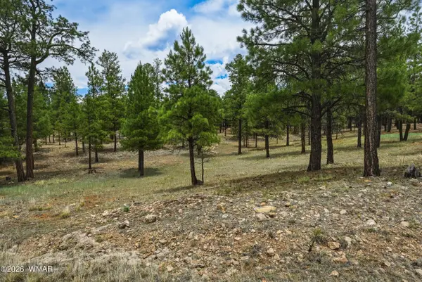 2799 Cherokee Way, Happy Jack, AZ 86024