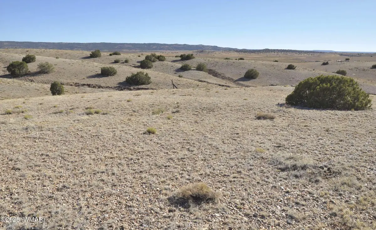 986 Concho Highway, Concho, AZ 85924 - #1