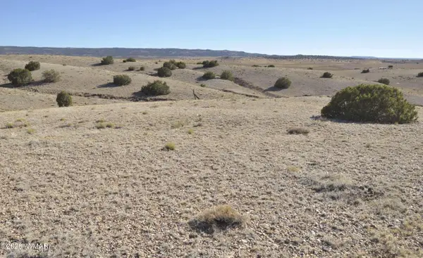 986 Concho Highway, Concho, AZ 85924