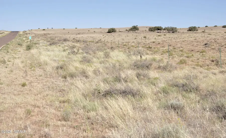 986 Concho Highway, Concho, AZ 85924 - #3