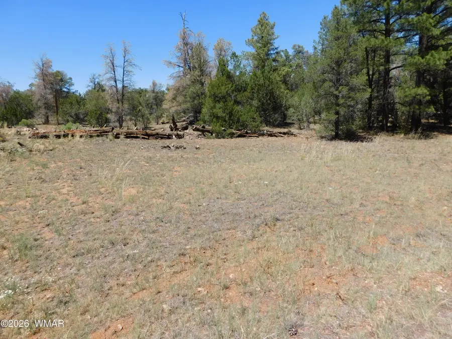 3100 Pinewood Drive, Overgaard, AZ 85933 - #3