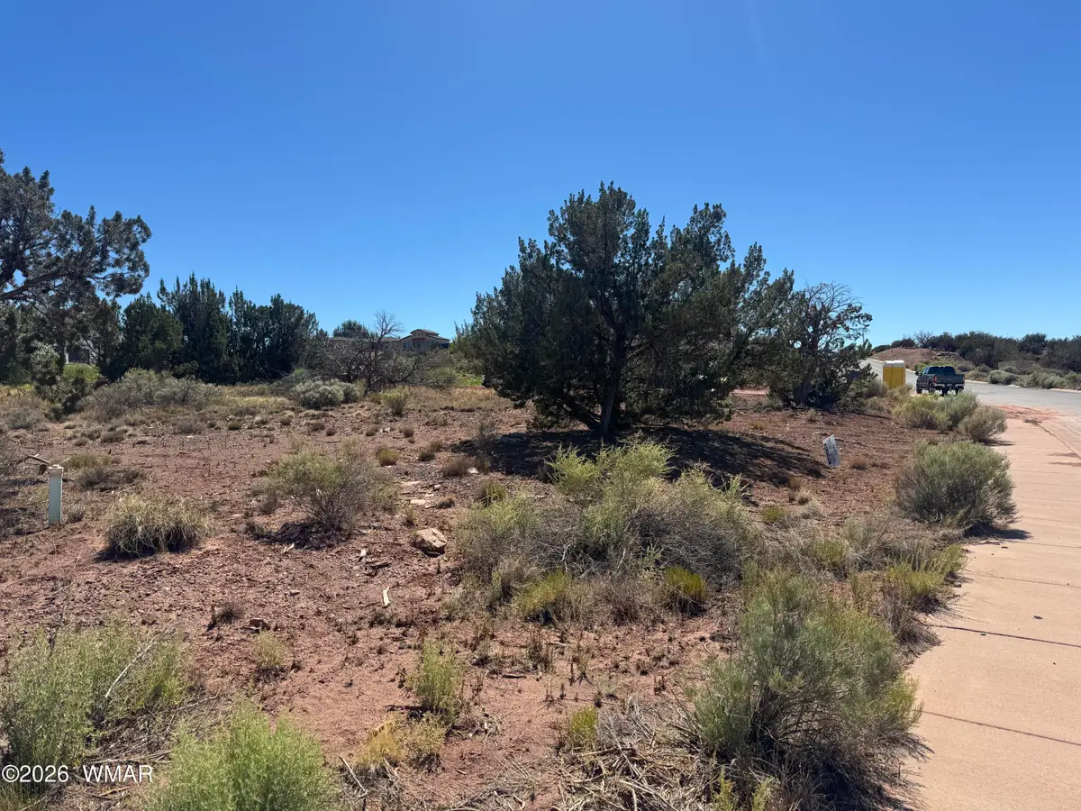 W Sand Trap Lane, Snowflake, AZ 85937 - #1