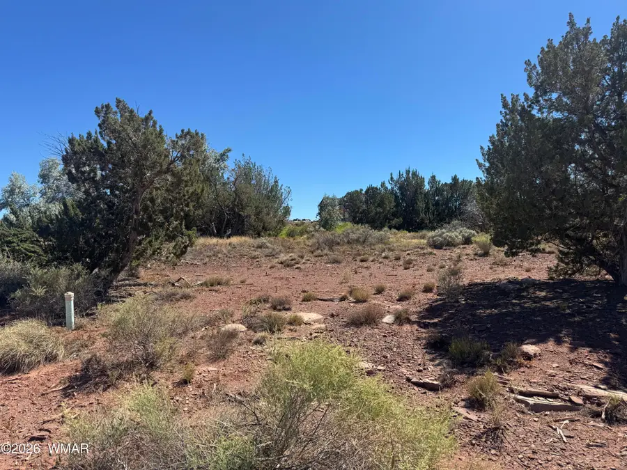 W Sand Trap Lane, Snowflake, AZ 85937 - #2