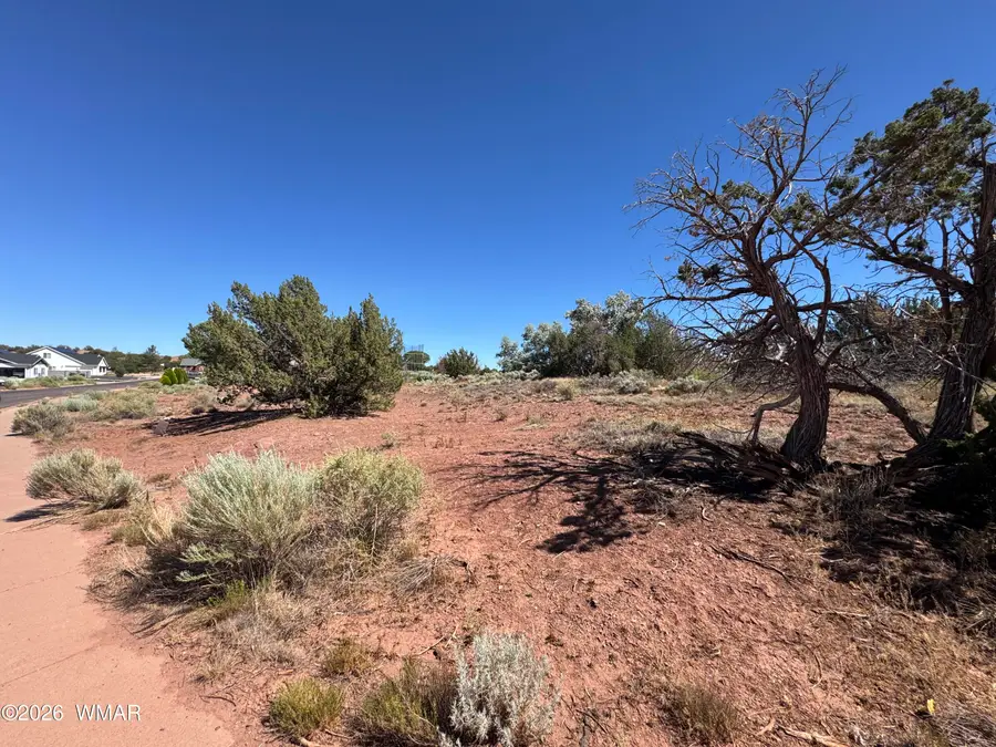 W Sand Trap Lane, Snowflake, AZ 85937 - #3
