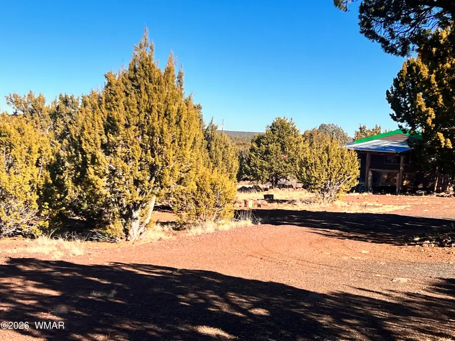 1 N 8167, Concho, AZ 85924 - #3