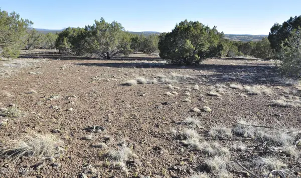 17C Gampel Lane, Show Low, AZ 85901