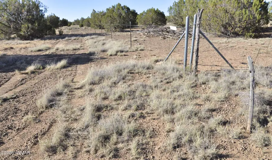 17C Gampel Lane, Show Low, AZ 85901 - #2