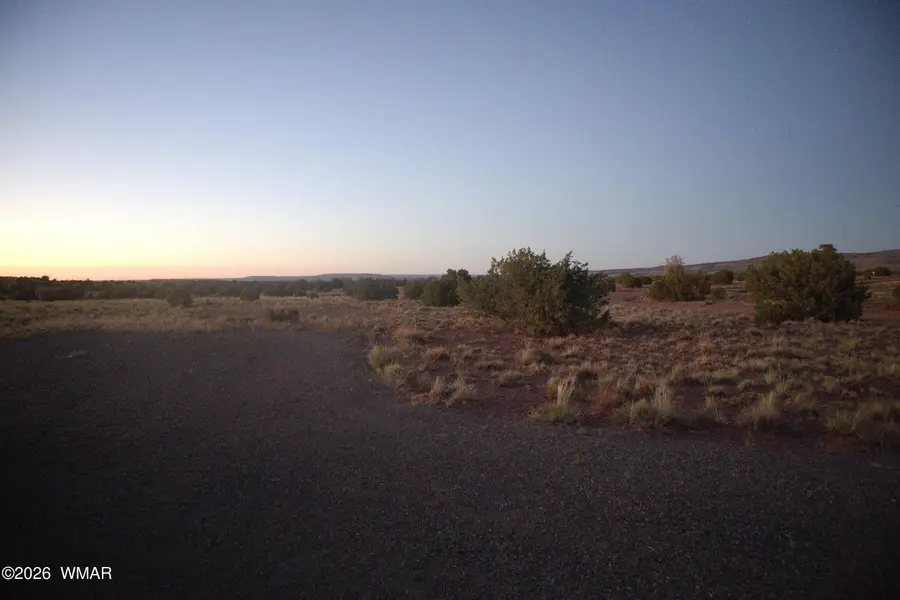 87 County Road 5311, Concho, AZ 85924 - #3
