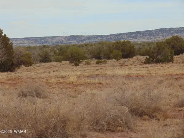 42 N5576, Concho, AZ 85924