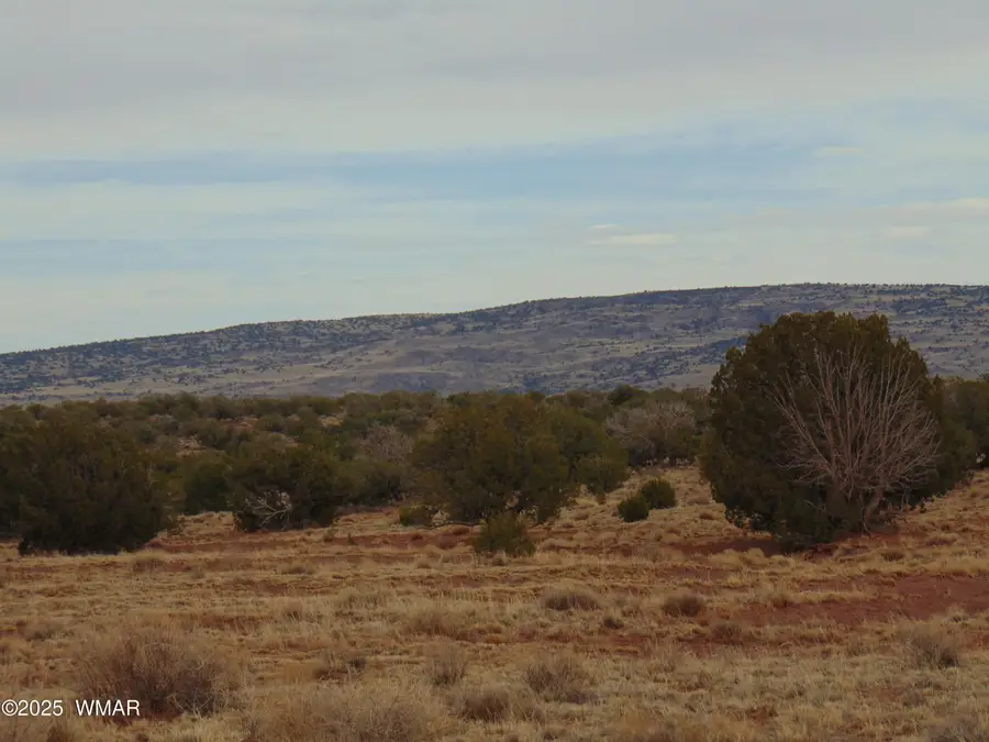 42 N5576, Concho, AZ 85924 - #2