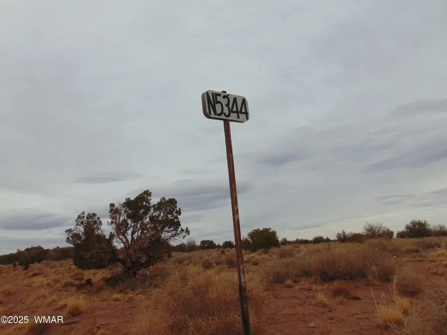 42 N5576, Concho, AZ 85924 - #3
