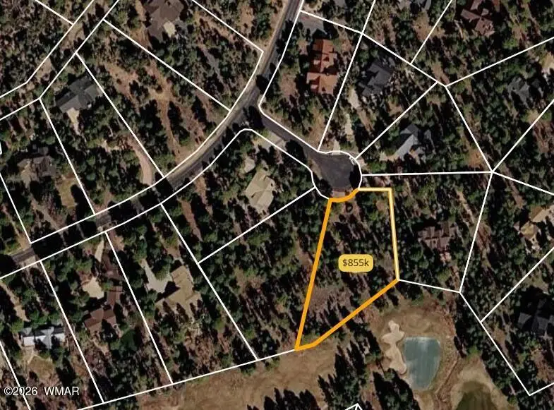 4161 W Wild Iris Lane, Show Low, AZ 85901 - #2
