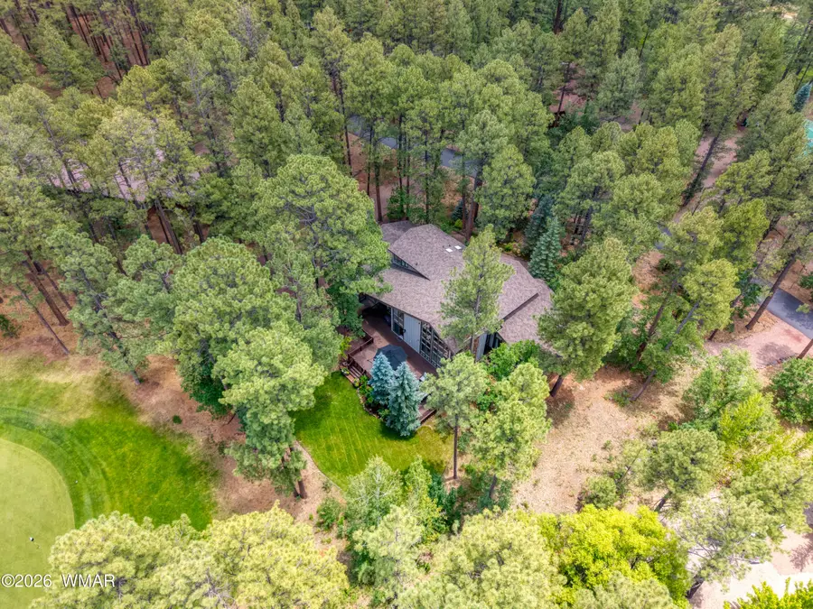 3280 Red Robin Road, Pinetop, AZ 85935 - #2