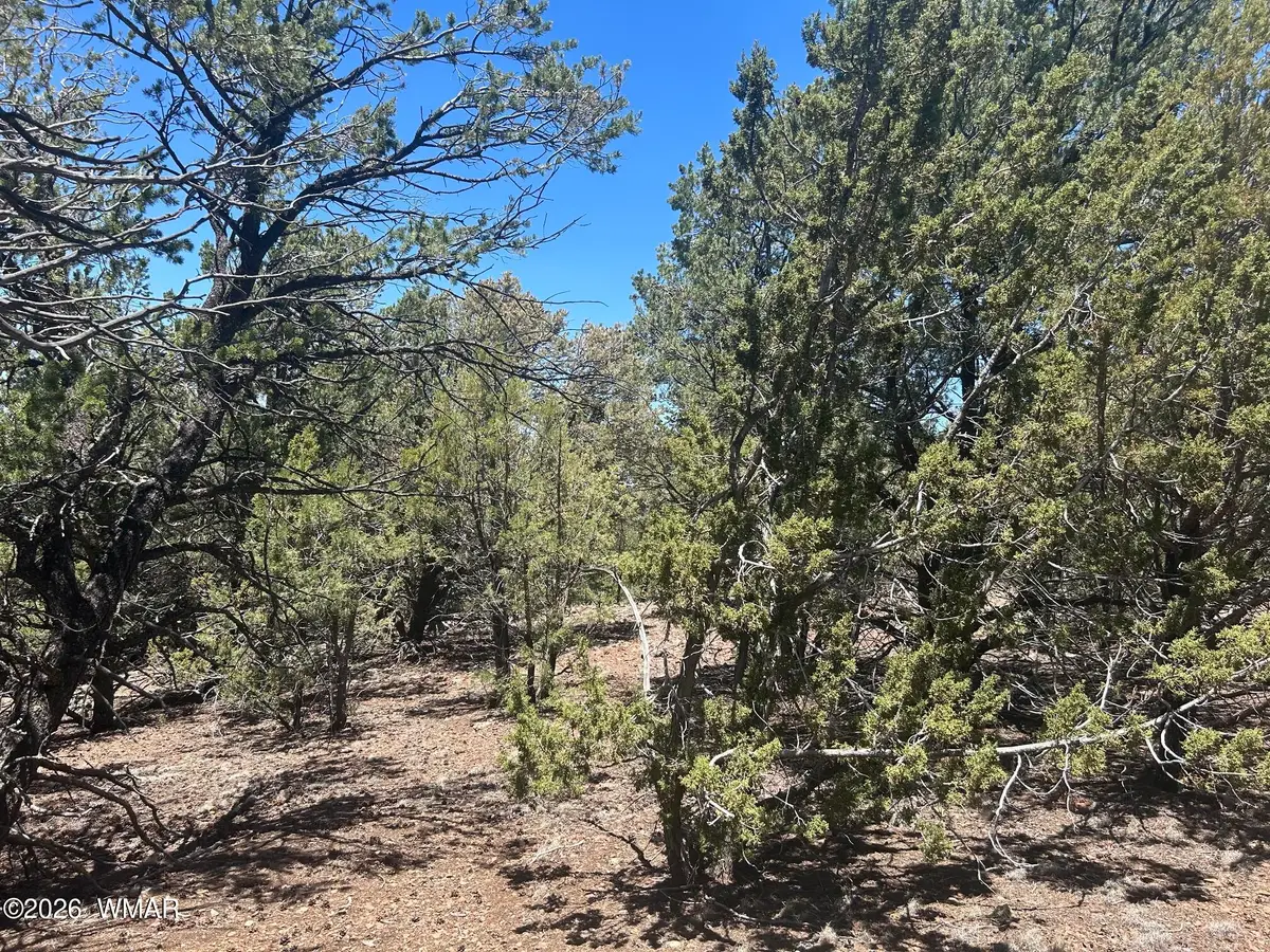 TBD Lot 37k, Vernon, AZ 85940 - #1