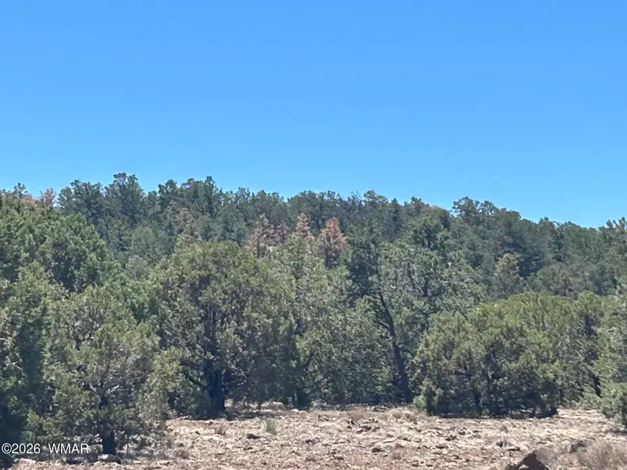 TBD Lot 37k, Vernon, AZ 85940 - #2