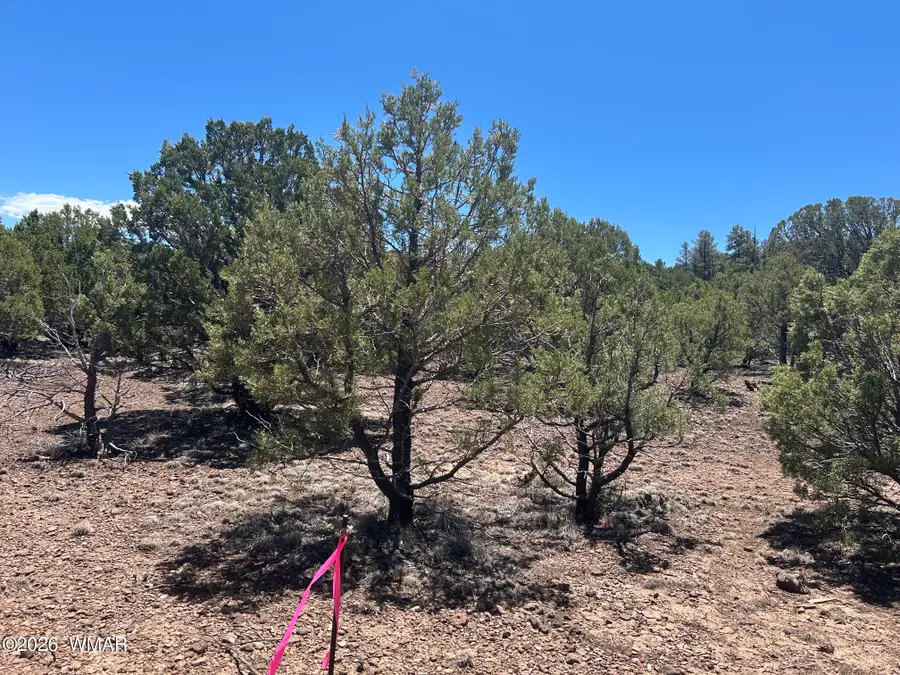 TBD Lot 37k, Vernon, AZ 85940 - #3