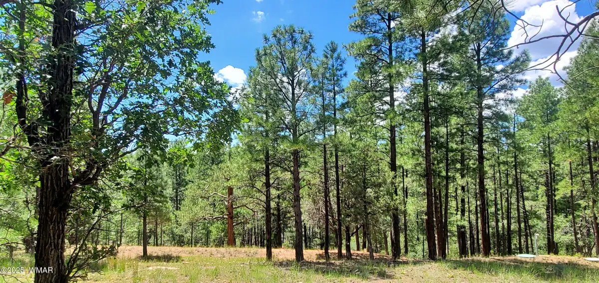 2526 Well Water Road, Happy Jack, AZ 86024 - #1
