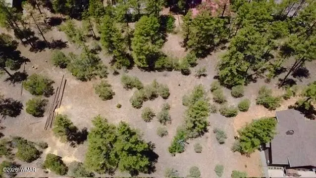 1180 S Lakeside Trail, Show Low, AZ 85901 - #1