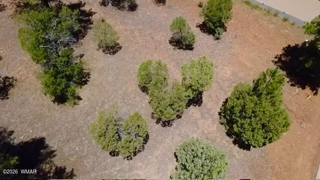 1180 S Lakeside Trail, Show Low, AZ 85901 - #3
