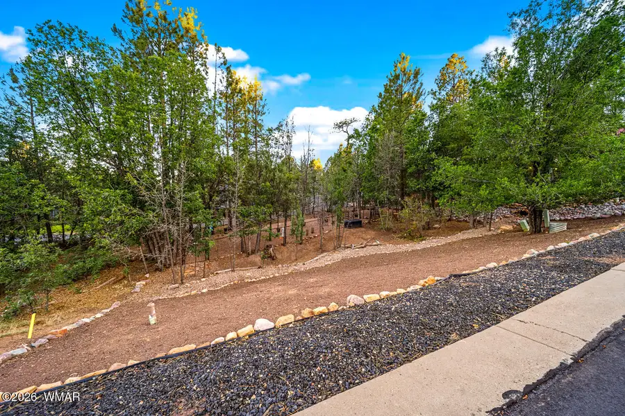2641 S Marshalls Run, Show Low, AZ 85901 - #3