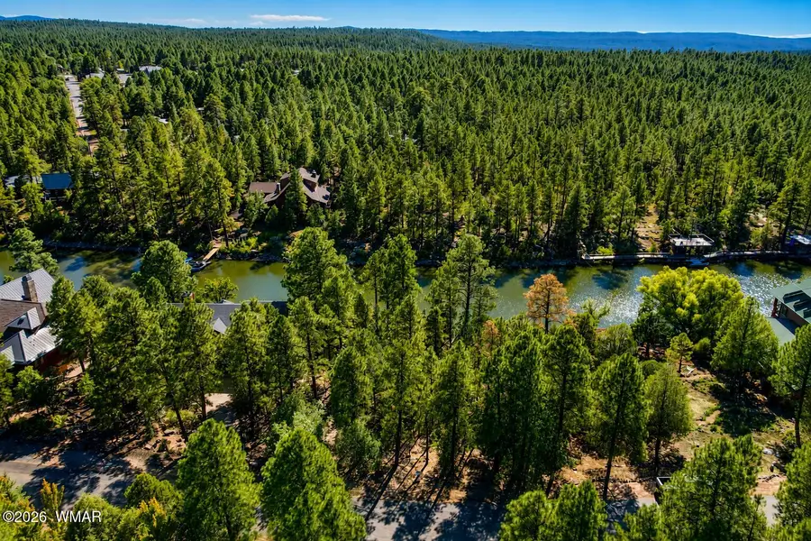 688 Pine Creek Drive, Lakeside, AZ 85929 - #2