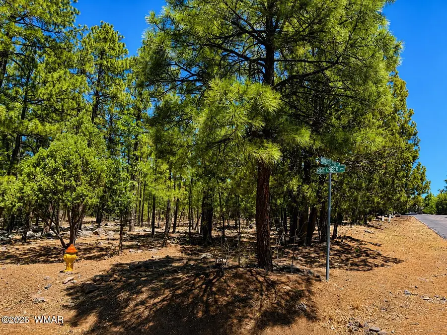 711 Pine Creek Drive, Lakeside, AZ 85929 - #2