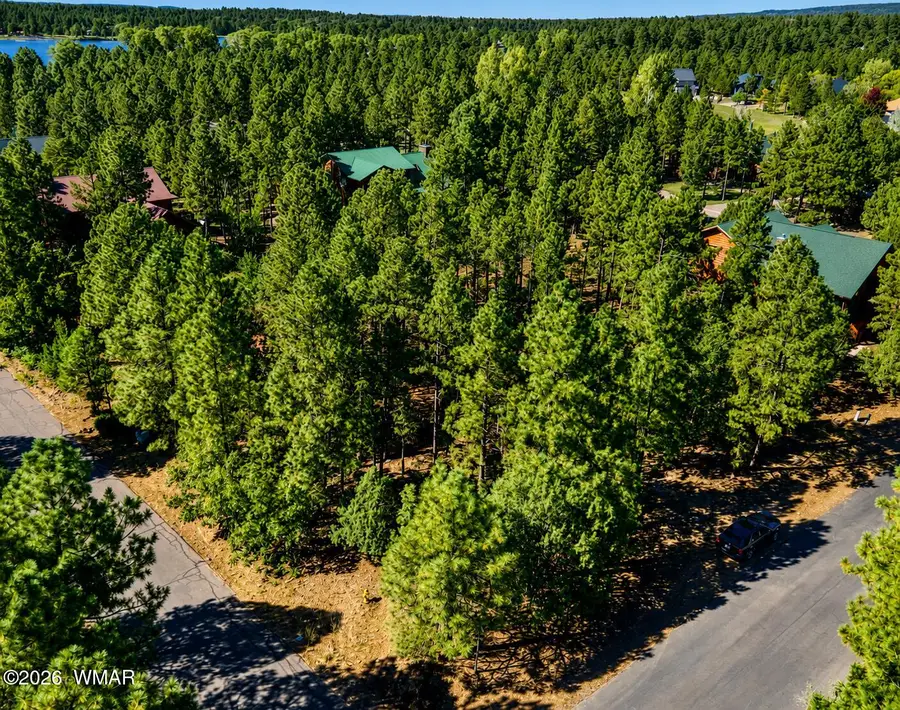 711 Pine Creek Drive, Lakeside, AZ 85929 - #3
