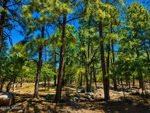 731 Pine Creek Drive, Lakeside, AZ 85929