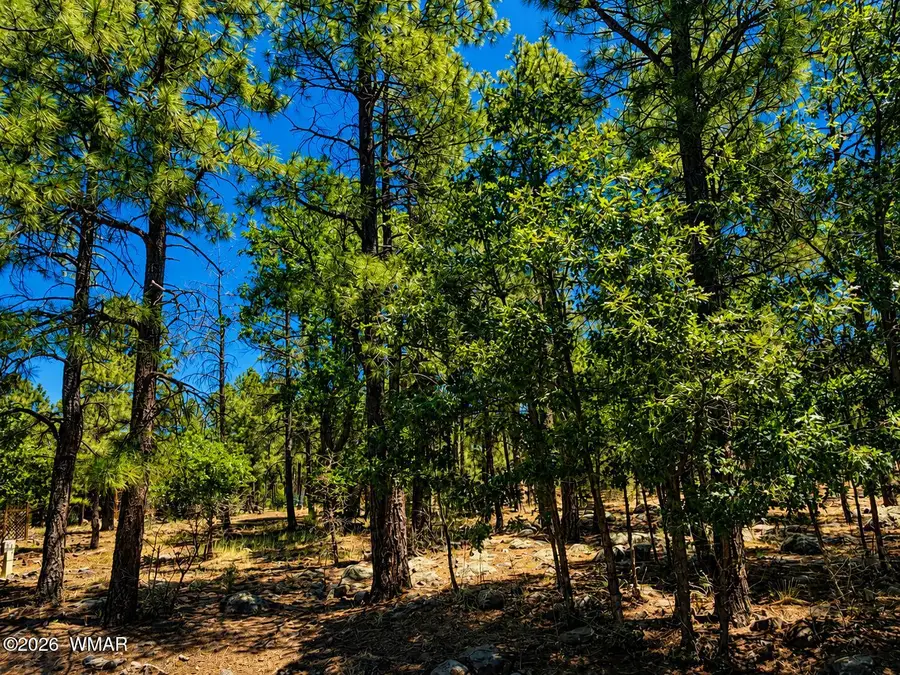 731 Pine Creek Drive, Lakeside, AZ 85929 - #2