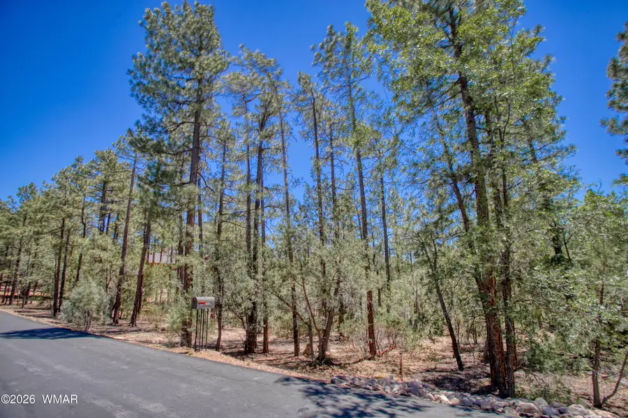 1101 E Pine Oaks Drive, Show Low, AZ 85901 - #3