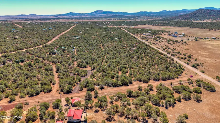 12 County Rd 3154, Vernon, AZ 85940 - #3