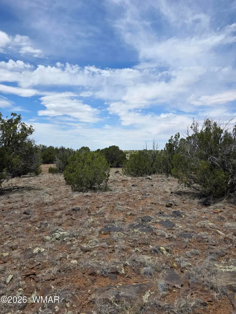2385 White River Place, Show Low, AZ 85901 - #3
