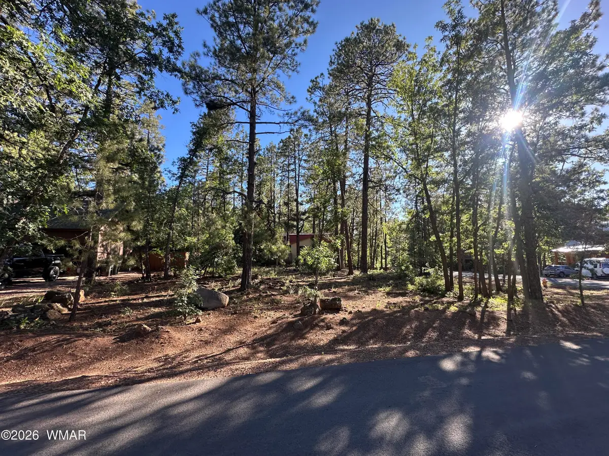 6001 Pitch Fork Lane, Pinetop, AZ 85935 - #1