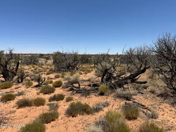 Lot 276 Chev Canyon Ranch #3, Heber, AZ 85928