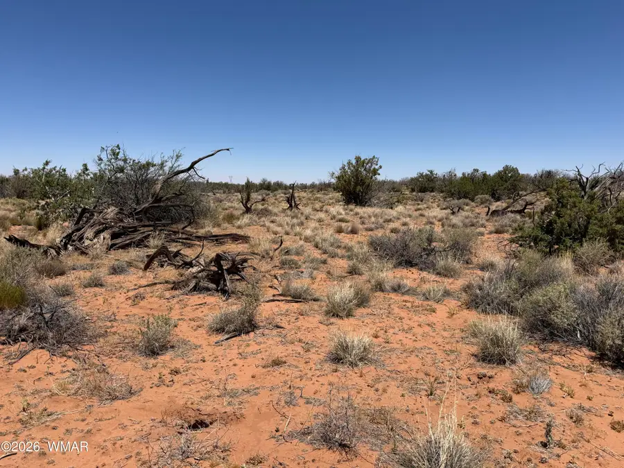 Lot 276 Chev Canyon Ranch #3, Heber, AZ 85928 - #2