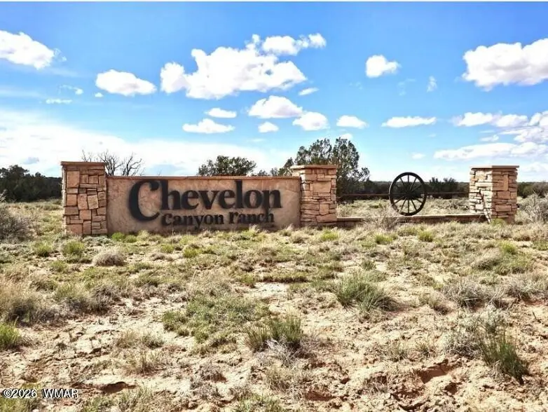 Lot 276 Chev Canyon Ranch #3, Heber, AZ 85928 - #3