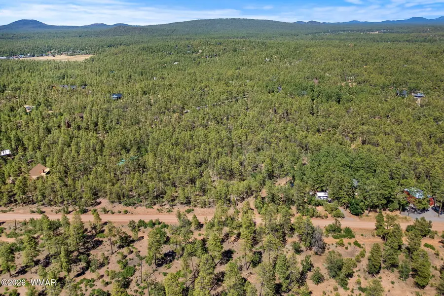 1400 W Manzanita Trail, Lakeside, AZ 85929 - #2