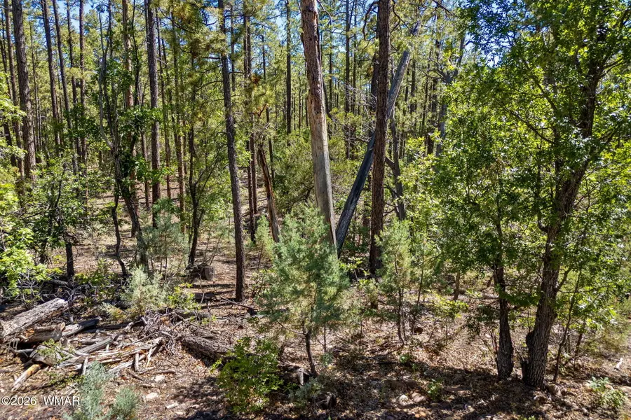 1400 W Manzanita Trail, Lakeside, AZ 85929 - #3