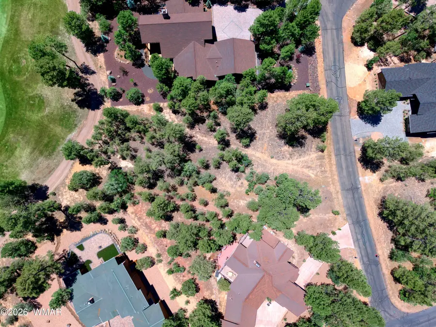 4531 W Foxglove Lane, Show Low, AZ 85901 - #3