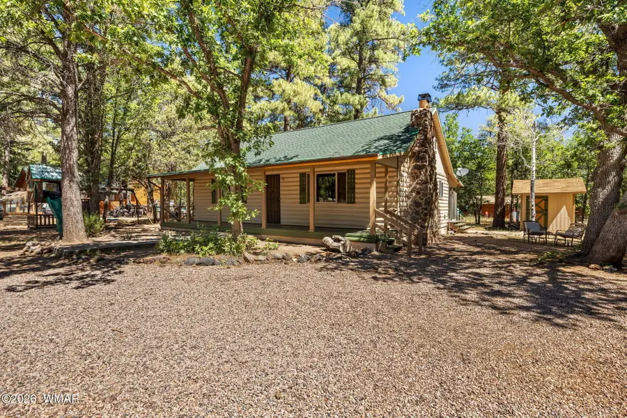 564 W Meadow Drive, Lakeside, AZ 85929 - #3