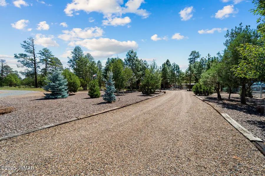 2046 Christmas Pine Road, Overgaard, AZ 85933 - #2