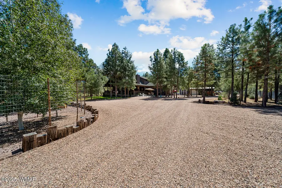 2046 Christmas Pine Road, Overgaard, AZ 85933 - #3