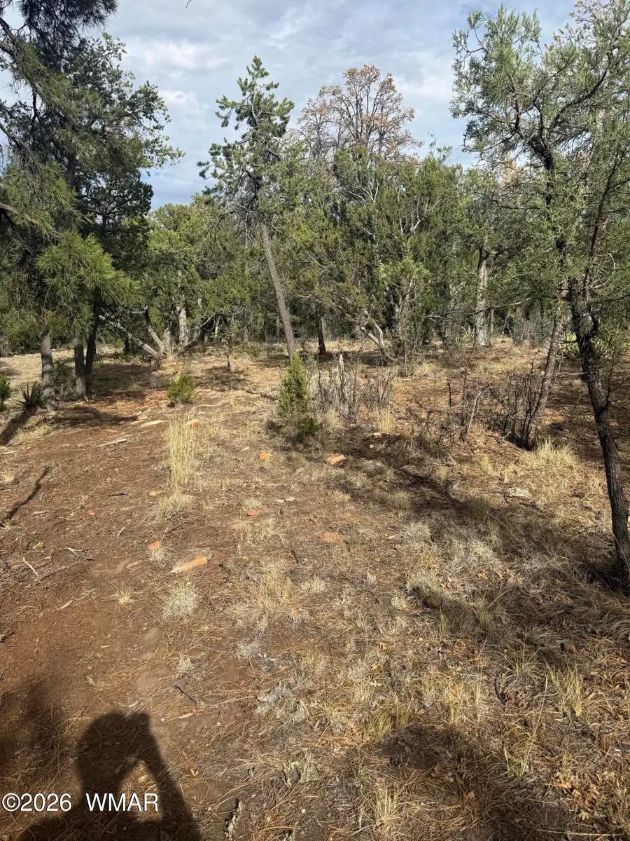 1522 Foxtail Lane, Heber, AZ 85928 - #2